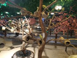 -酷嗒动物文化乐园(cutezoo西溪乐天城店)