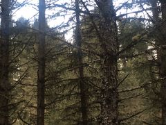 -硗碛藏寨·神木垒景区