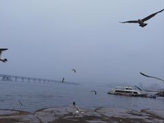 -星海广场