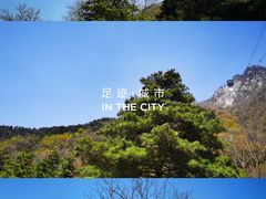 -陕西省红河谷森林公园