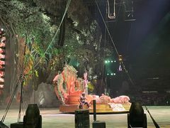 -广州长隆国际大马戏