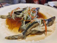 -杨厨的田园饭店(长城路店)