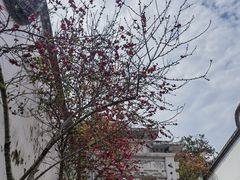 -乌山风景区