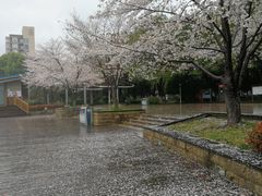 -玉山公园
