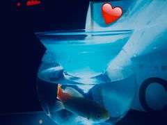 -Joy酒隐(西湖店)