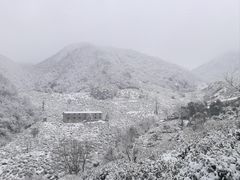 -东白山