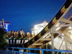 -大信·云顶星河游乐王国