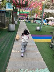 -萌宠亲子动物乐园(槐房万达店)