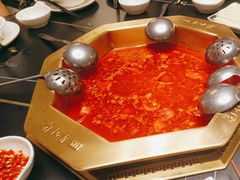 -蜀九香火锅(彩虹店)