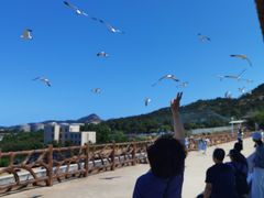 -西霞口神雕山野生动物世界