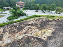 -广州白江湖森林公园