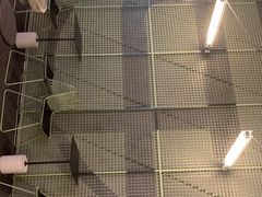 -Ann COFFEE(来福士店)