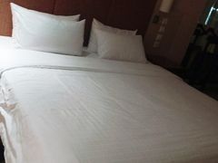 -电谷雅阁国际大酒店