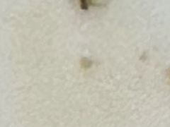 -红糖水都·女生特炖·中式滋补炖(北辰店)