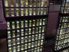 -广东中医药博物馆