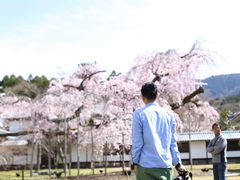 -醍醐寺