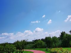 -马家湾湿地公园