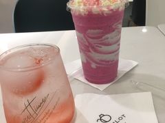 -飞行喵MR PILOT|猫舍·猫咖(静安大融城店)