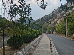 -金龙寺国家森林公园