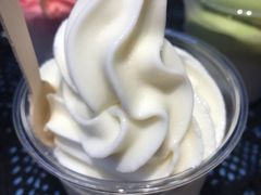 -萨朗刀克冰淇淋雪花凉(植物园店)