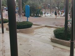-重庆海昌加勒比海水世界