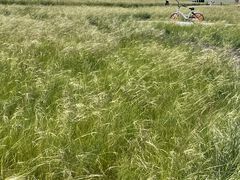 -呼和诺尔旅游景区