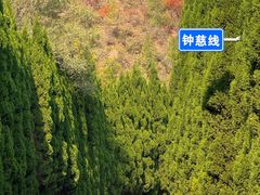 -青龙山生态文化旅游区(慈云寺)