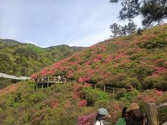 -木兰云雾山