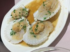 扇贝-光明邨大酒家(汇阳广场店)