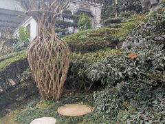 -南山植物园