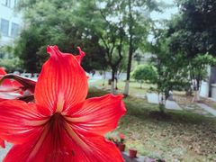 -源清中学