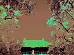 -红螺寺