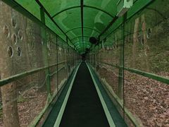 -灵栖洞天
