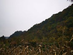 -秦岭风景区
