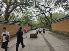 -普陀山风景名胜区-法雨禅寺