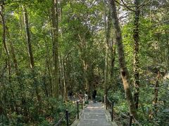 -七仙岭温泉国家森林公园