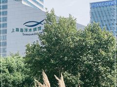 -上海海洋水族馆