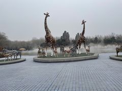 -北京野生动物园