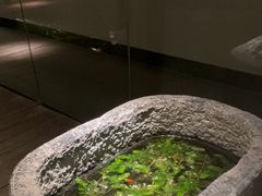 -觀芷隐轩