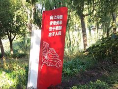-南翔镇银翔湖公园