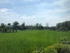-洪湖家庭农场·团建·露营·会议