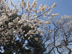 -八达岭长城