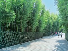 -北京欢乐谷