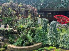 -花之城