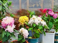 -伊隆斋(什刹海店)