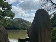 -白马涧龙池景区