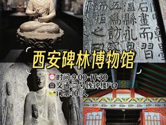-秦始皇帝陵博物院(兵马俑)