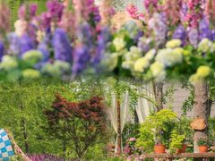 -武汉园博园(武汉自然博物馆)