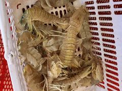 -四川小胡子海鲜(丁村万人海鲜广场店)