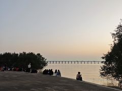 -宝安西湾红树林湿地公园